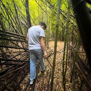 Meet your Posher, Ryan